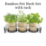 Bamboo Herb Pot Set 2.jpg